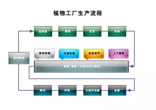 科技赋能农业新生态 从食品安全到中药健康与网络安全的融合